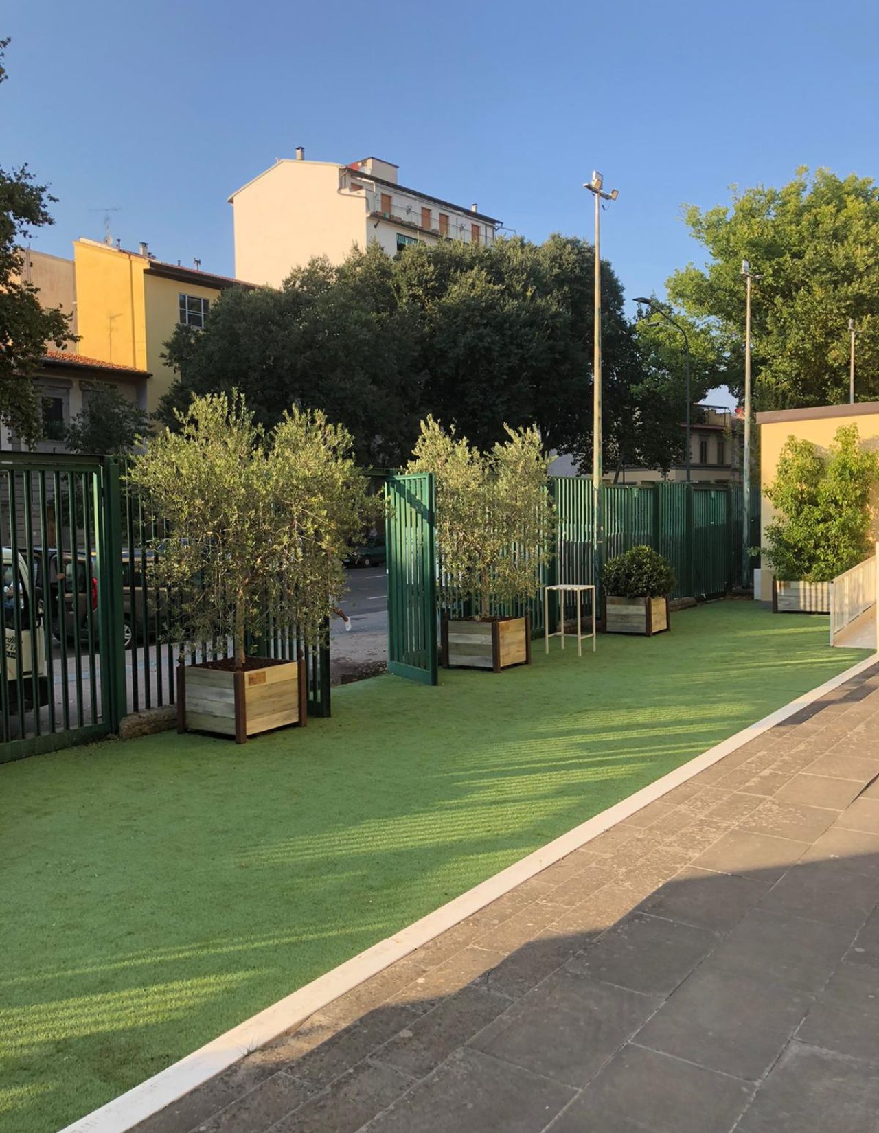 Noleggio piante9